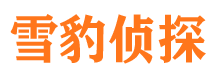 新野私家调查